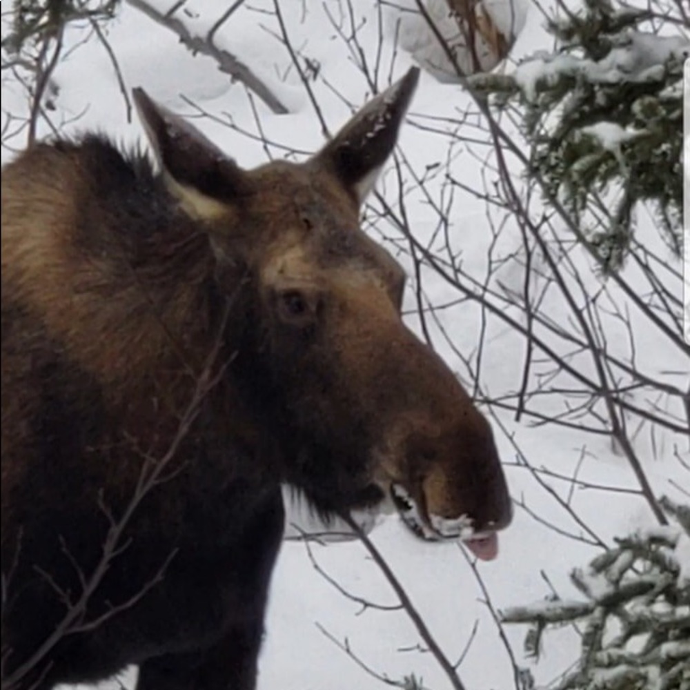 Meet your Posher, Cheryl